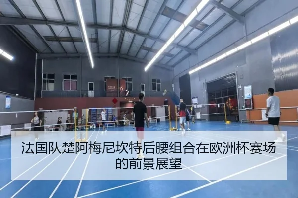 法国队楚阿梅尼坎特后腰组合在欧洲杯赛场的前景展望