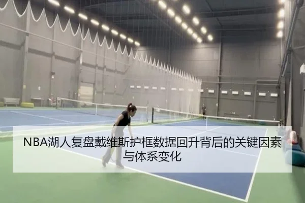 NBA湖人复盘戴维斯护框数据回升背后的关键因素与体系变化